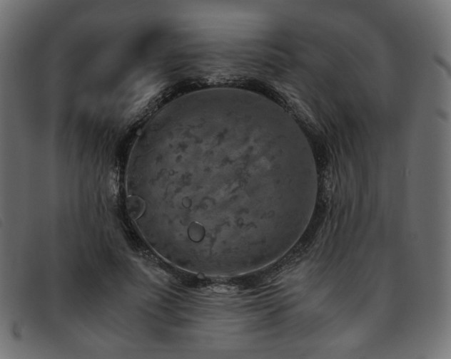 X0000093770691200710161242