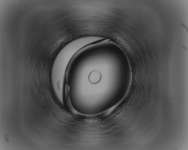 X0000093770693200710161242