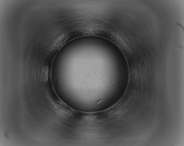 X0000093770694200710161242