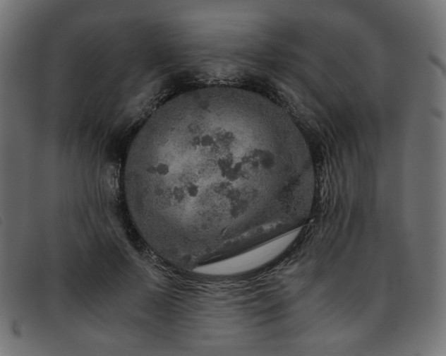 X0000093770695200710161242