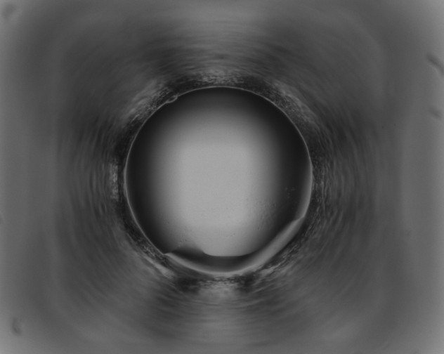 X0000093770696200710161242