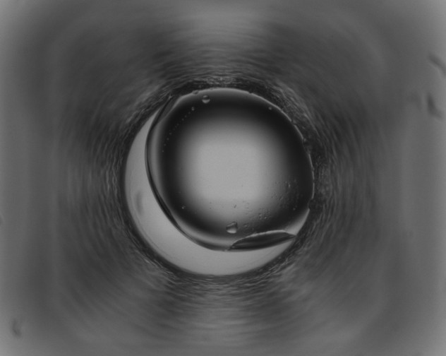 X0000093770697200710161242
