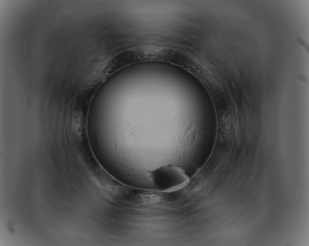 X0000093770698200710161242