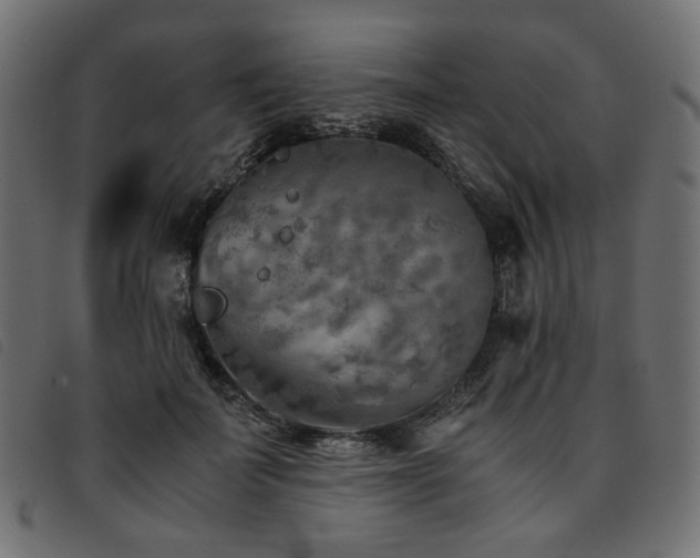 X0000093770699200710161242
