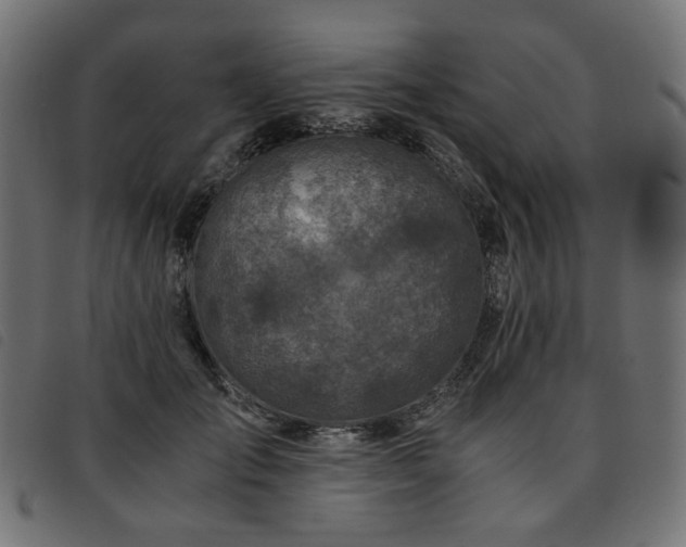X0000093770701200710161242