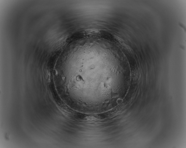 X0000093770703200710161242