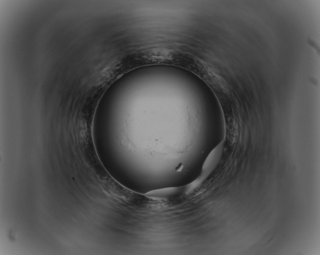X0000093770704200710161242