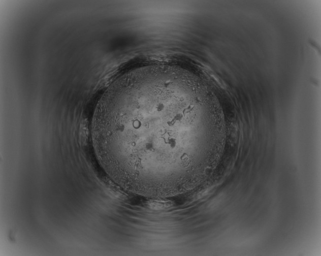 X0000093770707200710161242