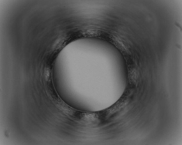 X0000093770709200710161242
