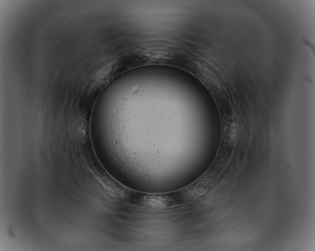 X0000093770710200710161242