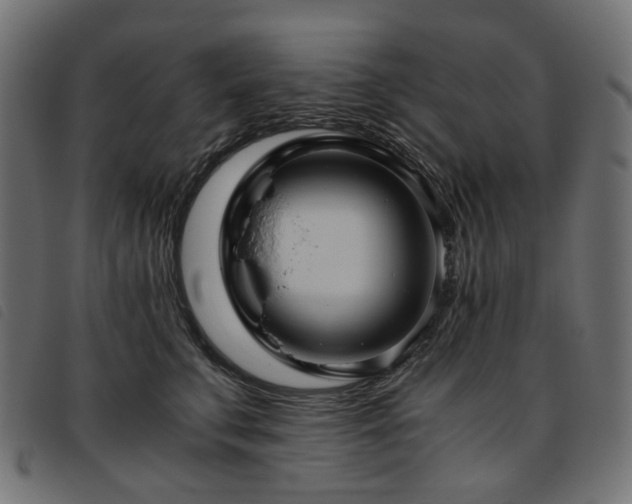X0000093770711200710161242