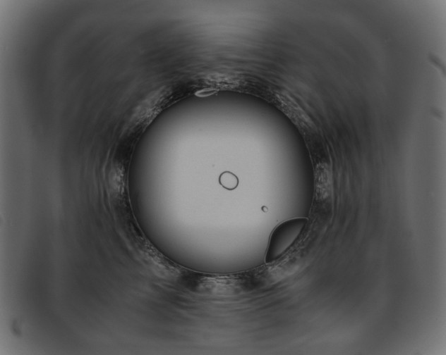 X0000093770713200710161242