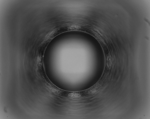X0000093770714200710161242