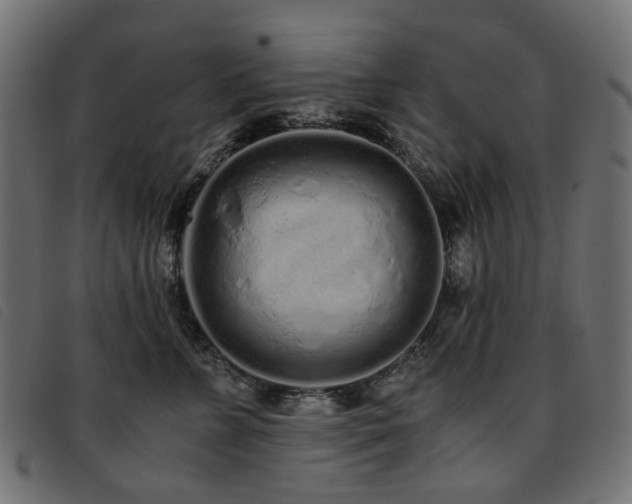 X0000093770715200710161242