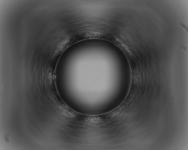 X0000093770716200710161242