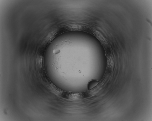 X0000093770717200710161242