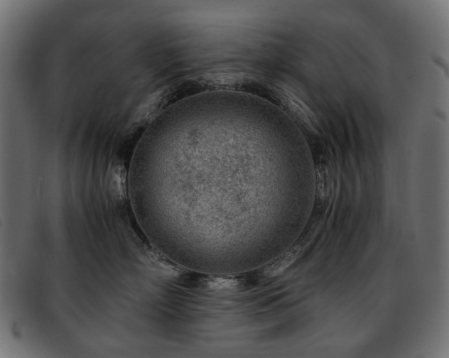 X0000093770718200710161242