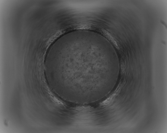 X0000093770721200710161241