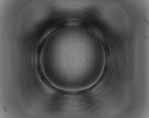 X0000093770722200710161241