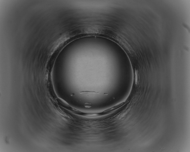 X0000093770723200710161241