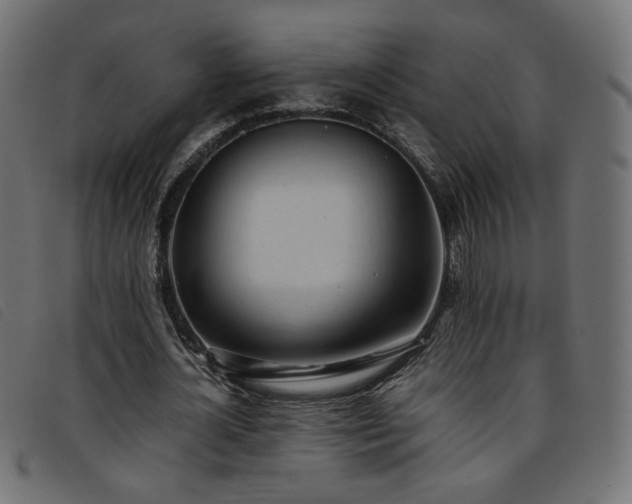 X0000093770724200710161241