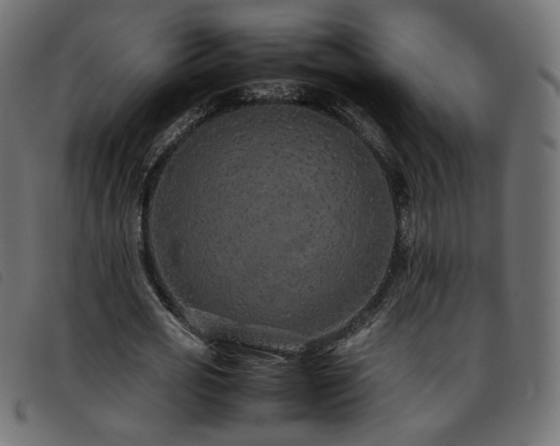 X0000093770725200710161241