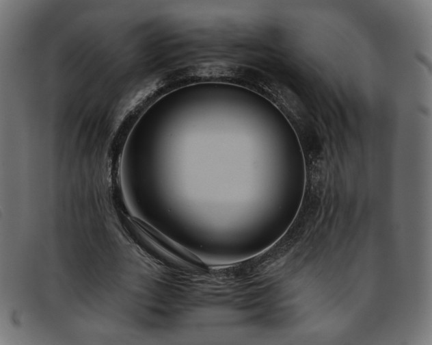X0000093770727200710161241