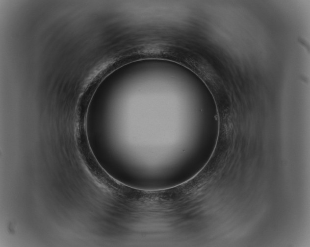 X0000093770728200710161241