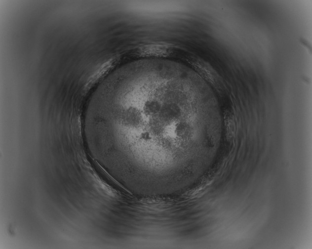 X0000093770729200710161241
