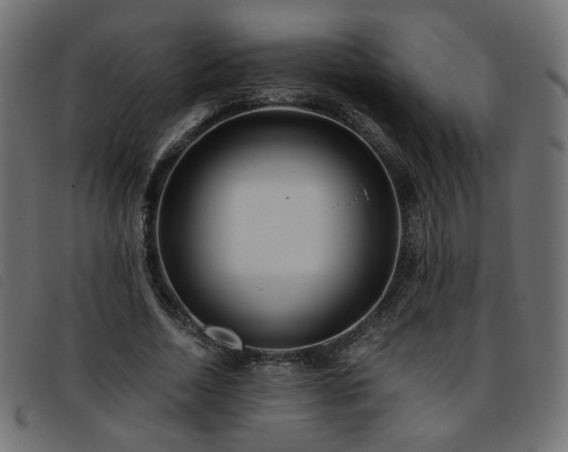 X0000093770730200710161241