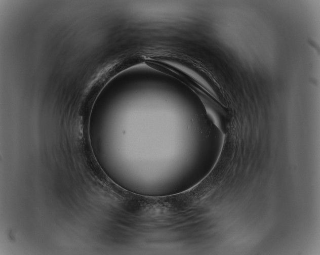 X0000093770731200710161241