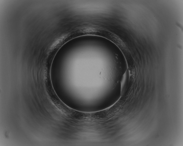 X0000093770732200710161241