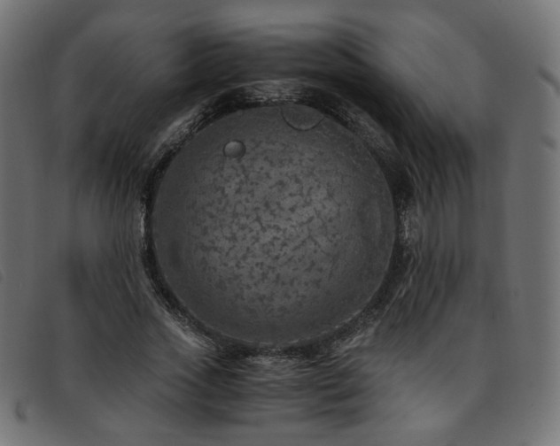 X0000093770733200710161241