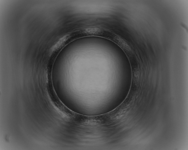 X0000093770734200710161241