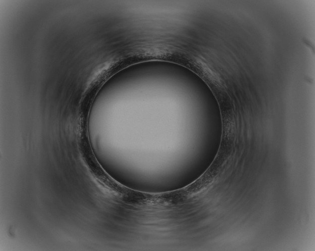 X0000093770736200710161241