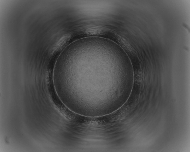 X0000093770738200710161241