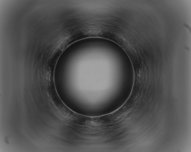 X0000093770739200710161241