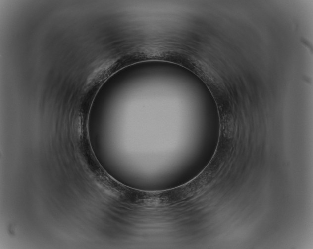 X0000093770740200710161241