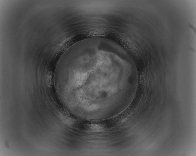 X0000093770741200710161241