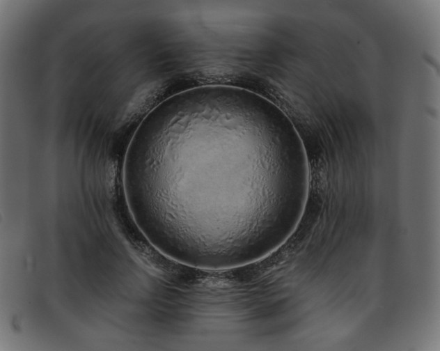 X0000093770742200710161241