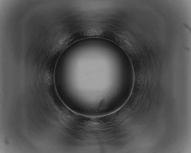 X0000093770743200710161241