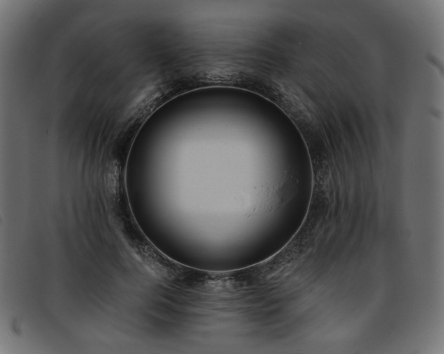 X0000093770744200710161241