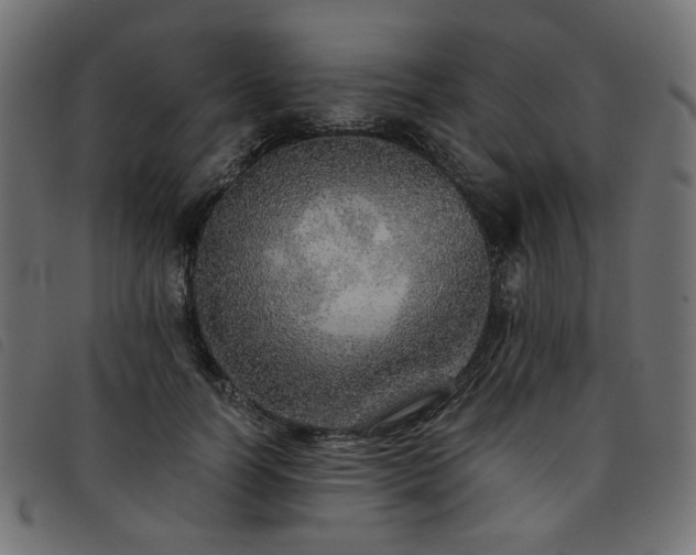 X0000093770746200710161241