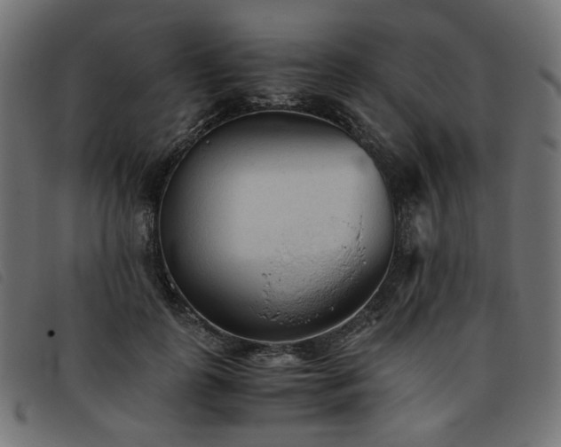 X0000093770747200710161241