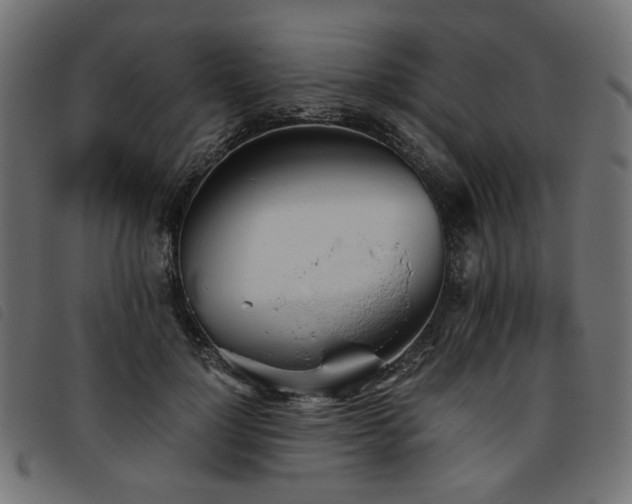 X0000093770748200710161241