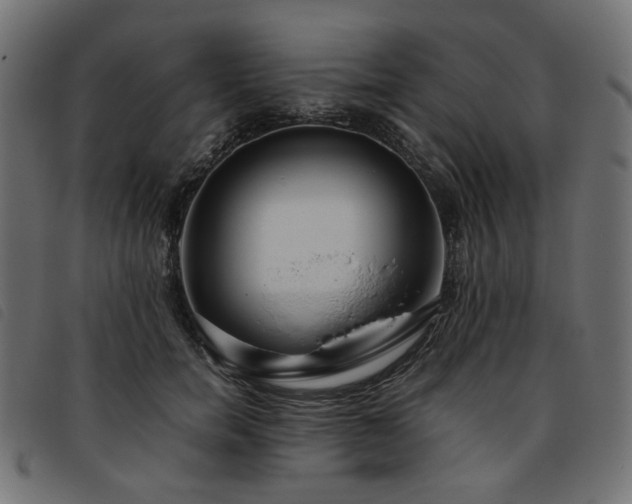 X0000093770750200710161241