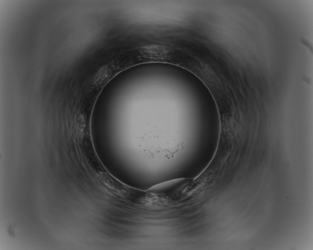 X0000093770752200710161241