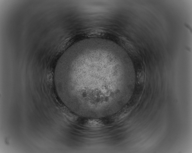 X0000093770753200710161241