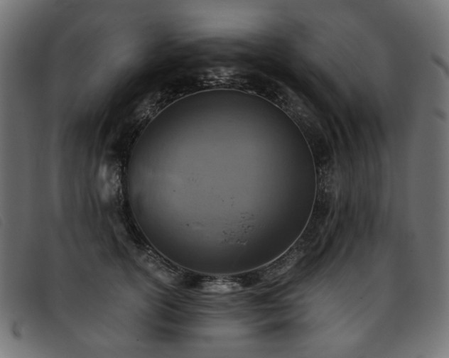 X0000093770754200710161241