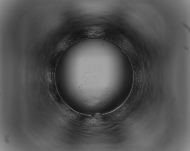 X0000093770755200710161241